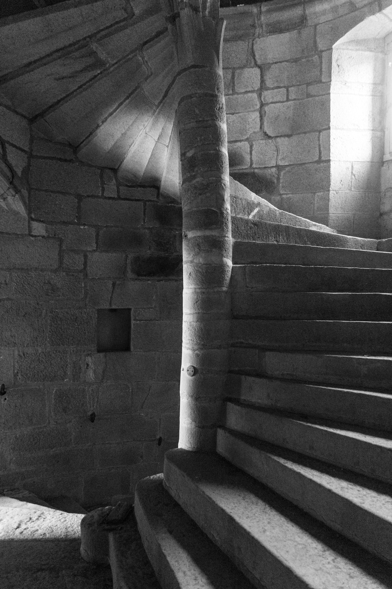 L' Oeil Noir Photographie